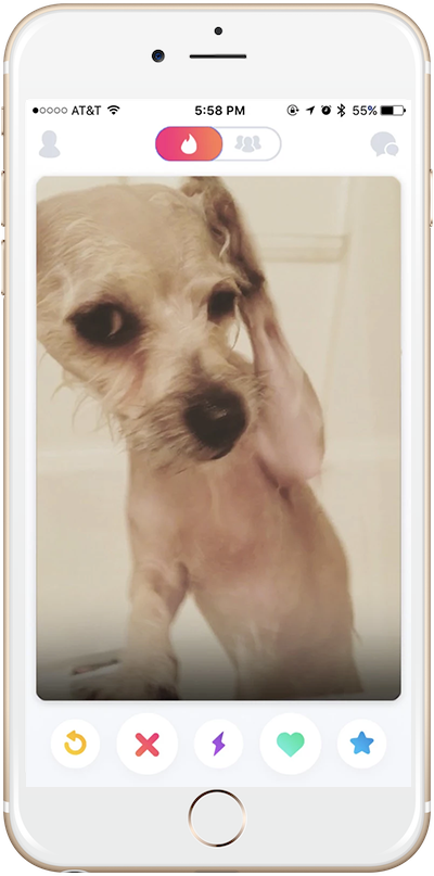iphone6-dog